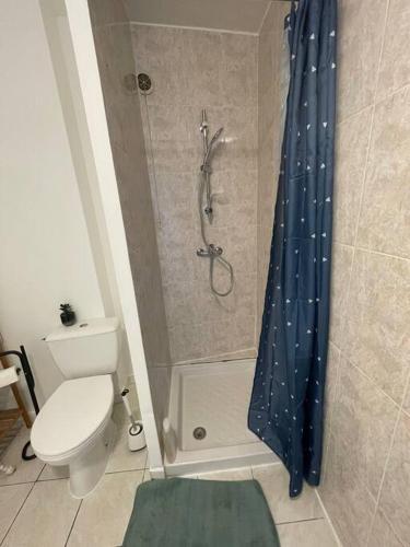 La salle de bains est pourvue d'une douche, de toilettes et d'un rideau de douche. dans l'établissement Charmant appartement, à Saint-Thibéry