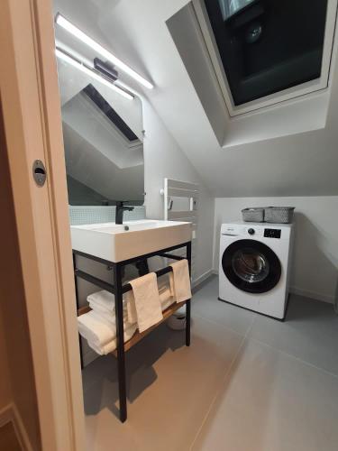une salle de bain avec un lavabo et une machine à laver dans l'établissement Le Petit Woerthel, à Wolxheim