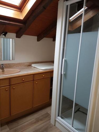 La salle de bains est pourvue d'un lavabo et d'une porte de douche en verre. dans l'établissement Gîte du Louvanto, à Bonnes