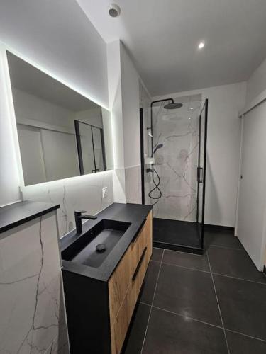 La salle de bains est pourvue d'un lavabo noir et d'une douche. dans l'établissement Le Studio Cyprien, à Toulouse