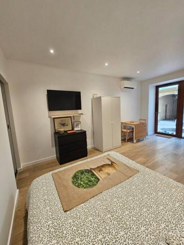- un salon avec un lit et une télévision dans l'établissement Le Studio Cyprien, à Toulouse