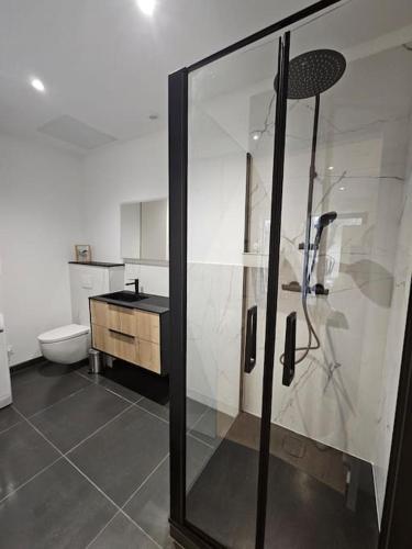 La salle de bains est pourvue d'une douche en verre et de toilettes. dans l'établissement Le Studio Cyprien, à Toulouse