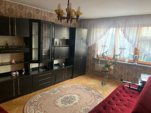 ein Wohnzimmer mit einem roten Sofa und einem roten Teppich in der Unterkunft Apartament „Jak u babci” in Jelenia Góra