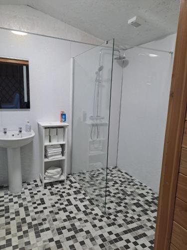 高威的住宿－The Snowdrop，带淋浴和盥洗盆的浴室