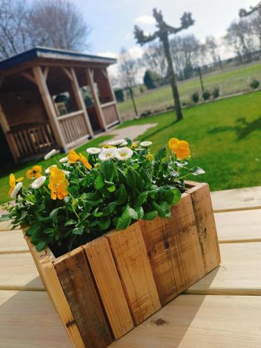 Zahrada ubytování "Huisje op de Veluwe" met privé Jacuzzi en Bar!