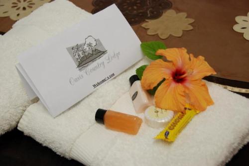 a towel with a bottle of lipstick and a flower at Oasis Country Lodge in Klawer