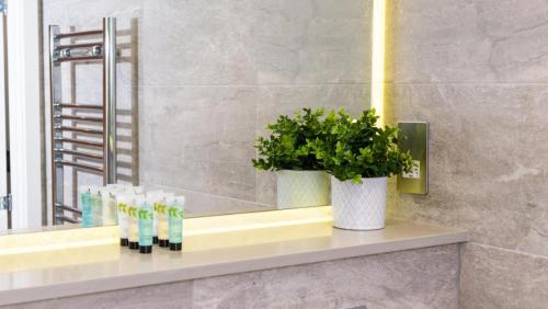 a bathroom counter with a mirror and a potted plant at Absolute Stays at The Ridgmont-St Albans-High Street- Near Luton Airport - St Albans Abbey Train station -Close to London- Harry Potter World - The Odyssey Cinema-Contractors -London Road-Business-Leisure in St. Albans