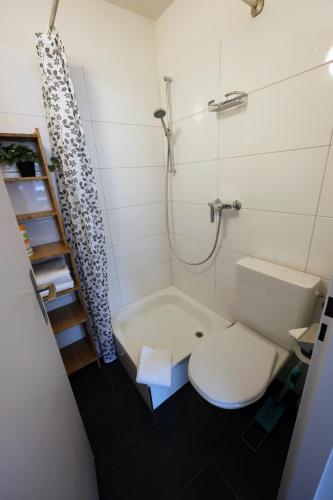 ein Badezimmer mit einem weißen WC und einer Dusche in der Unterkunft Zürich City Reizendes tiny Studio Albisriederplatz in Zürich