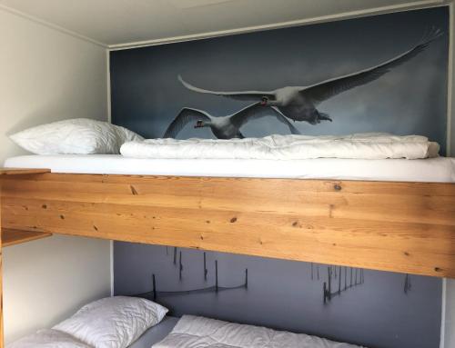two birds flying on top of a bunk bed at De Koevoet in Teroele