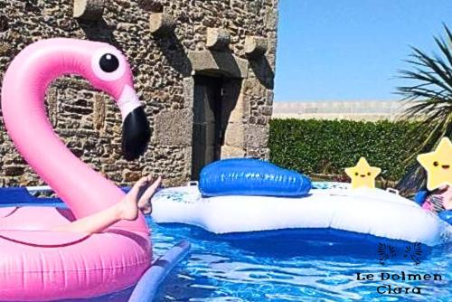 un flotador de flamenco rosa en una piscina en Le Loft du Dolmen Clara, entre terre et mer, en Plounévez-Lochrist