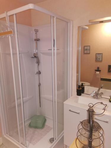 une salle de bain avec douche et lavabo dans l'établissement Studio à la campagne, à Champagné-Saint-Hilaire