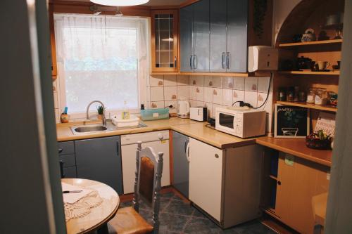 una pequeña cocina con fregadero y microondas en Apartment Hiža 38, en Mala Subotica
