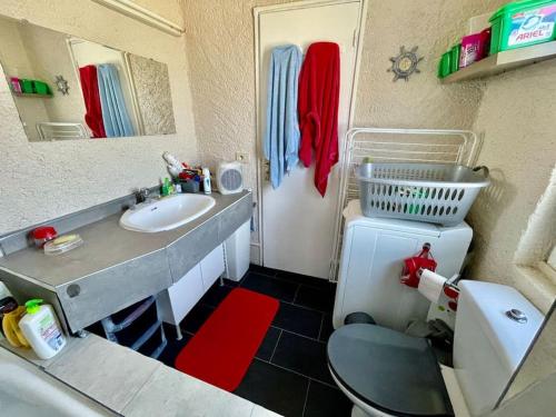 une salle de bain avec un lavabo, des toilettes et un miroir dans l'établissement Apt 4-6pers-piscine-parc arboré, à Fitou