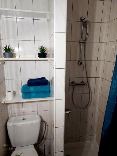 une petite salle de bain avec toilettes et douche dans l'établissement Studio B aux pieds des Thermes, à Néris-les-Bains