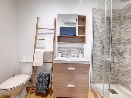 une salle de bain avec toilettes, lavabo et douche dans l'établissement Le Twenties*Fibre*Netflix*Ménage, à Bagnères-de-Bigorre