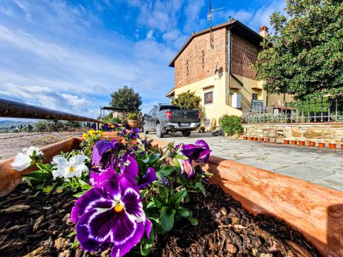 a flower bed with purple and white flowers in front of a building at Villetta dei Fagiani - B&B in Montauto