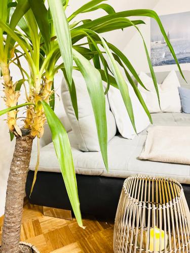 a living room with a couch and a plant at SEEMOMENTE Spieleland, Messe, Friedrichshafen 3 Zi mit Balkon, Parkplatz in Meckenbeuren