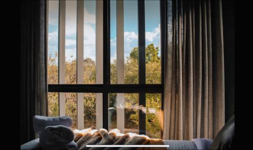 una ventana con vistas a una jirafa a través de ella en The Green Rooms - Luxury themed micro apartments inspired by tiny home design en Canberra