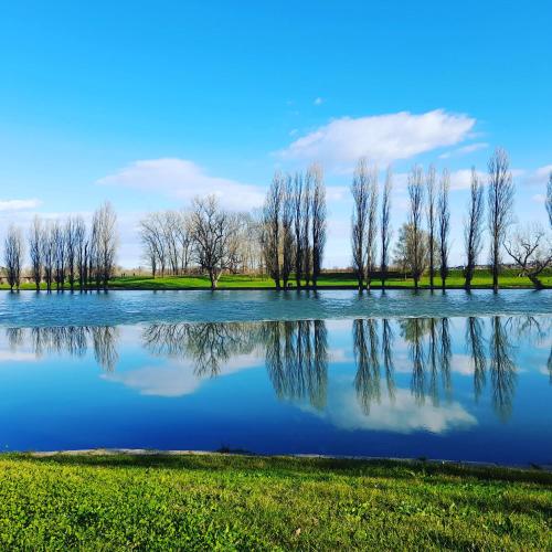 a lake with trees reflecting in the water at Little dream in Karlovac