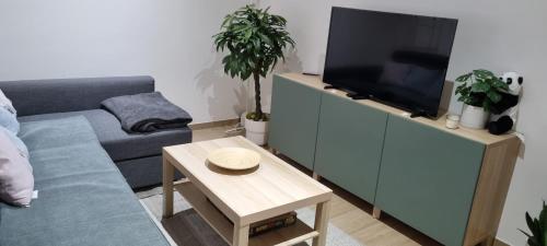 Televisyen dan/atau pusat hiburan di Worker's Lodge - 2 Bedrooms & Court yard - Antwerp Smooth Stays