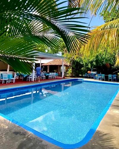 a large swimming pool with a palm tree next to it at Los Vados Hotel in Managua
