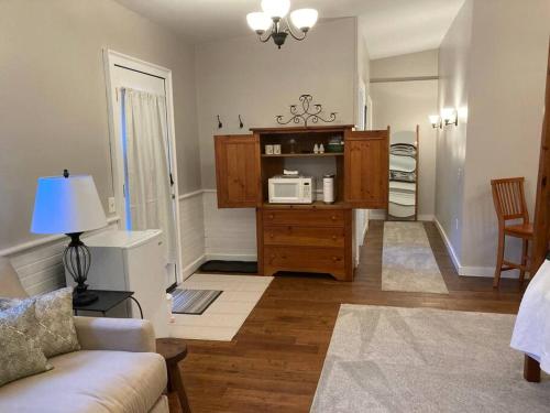a living room with a couch and a microwave at Serene Suite by Taconic Ridge, Catamount, Tanglewood, Berkshires in Hillsdale