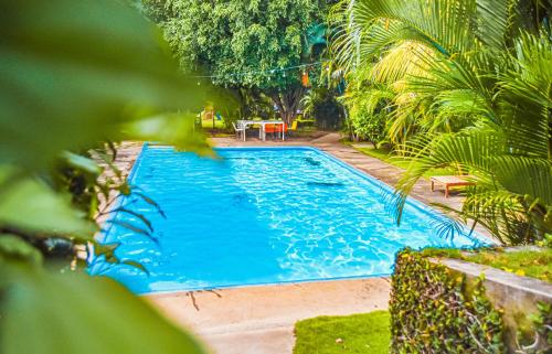 a swimming pool in a yard with palm trees at Los Vados Hotel in Managua