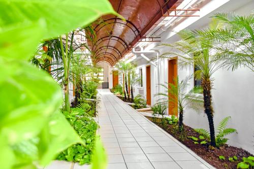 an indoor garden in a building with plants at Los Vados Hotel in Managua