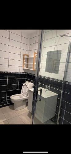une salle de bain avec toilettes et lavabo dans l'établissement Escapade cosy proche Vienne, à Chasse-sur-Rhône