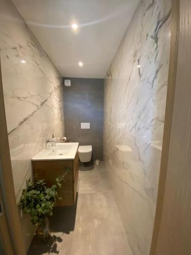 une salle de bain avec un lavabo et des toilettes dans l'établissement Maison Rayon de soleil, à Opio