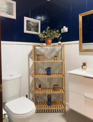 a bathroom with a toilet and a blue wall at O fogar do camiñante in Redondela