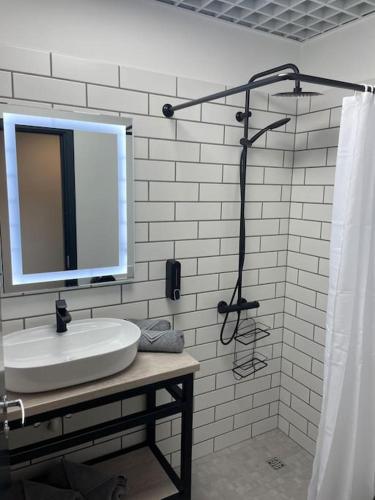 a bathroom with a sink and a mirror and a shower at Apartment Loftas13-5 in Kretinga