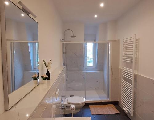 uma casa de banho branca com um chuveiro e um WC. em Stadtmitte I Große Ferienwohnung I Parkplatz kostenlos em Rastatt