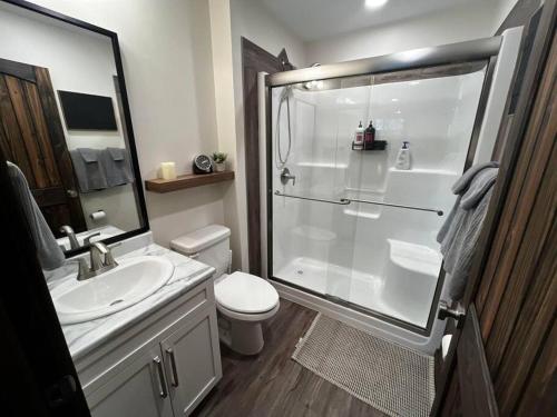 een badkamer met een douche, een toilet en een wastafel bij The Highmark Cabin in Valemount