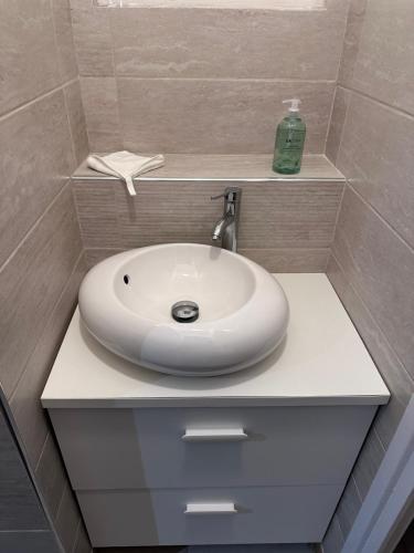 een badkamer met een witte wastafel en een zeepfles bij L’insolite in Auxerre