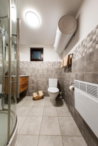 a bathroom with a toilet and a glass shower at Domek Na Morenie in Sieraków