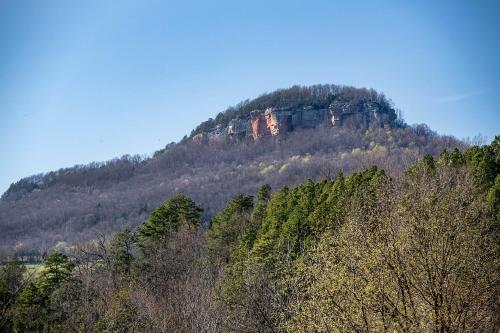 a mountain in the middle of a forest at Buffalo River Misty Creek Lodge in Vendor