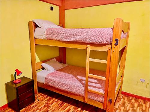a couple of bunk beds in a room at Peru 229 Rest HOSTEL in Puno