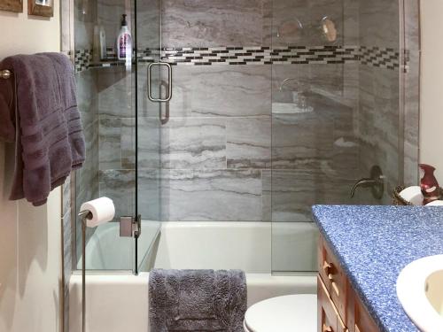 a bathroom with a shower and a toilet and a sink at Lazy Bear Lodge in Florissant with Mountain Views! in Florissant