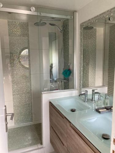 une salle de bain avec un lavabo et une douche en verre dans l'établissement Péniche au calme sur la Seine, à Rueil-Malmaison