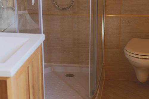 a bathroom with a shower and a toilet and a sink at Chalupa Granát in Kořenov