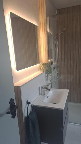 a bathroom with a sink and a mirror at Rose Meadow Cottage in Liscannor
