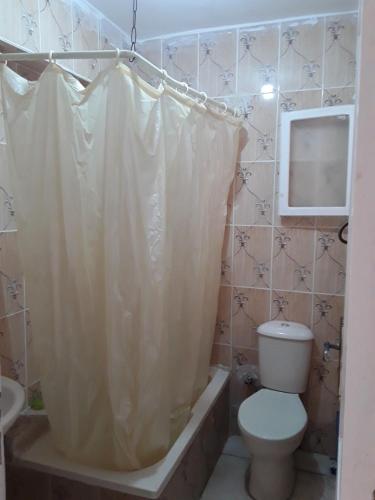 ein Bad mit einem WC und einem Duschvorhang in der Unterkunft Friends motel in Alexandria