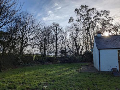 a small white building in a yard with trees at Molly's Cottage in Larne