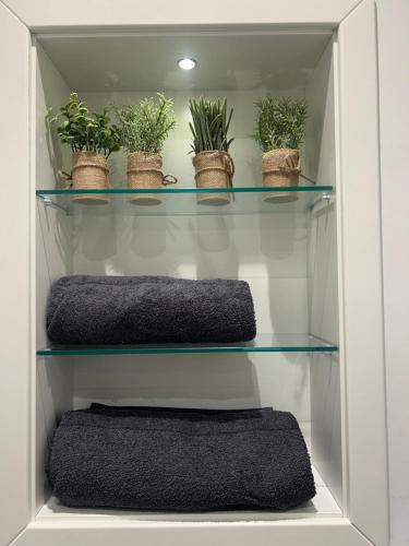 a closet with three shelves with plants in it at London Heathrow Airport Apartment Voyager House Terminal 12345 - EV Electric and Parking available! in New Bedfont