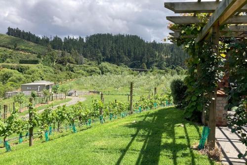 a vineyard with a view of a field of vines at Maymorn Orchard Suite in Upper Hutt
