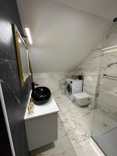 a bathroom with a toilet and a glass shower at Apartments Green Linden in Rakovica
