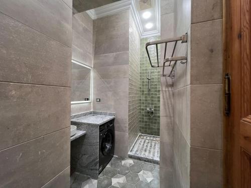 y baño con ducha y lavadora. en Authentic 3BR apartment in Downtown, Cairo en El Cairo