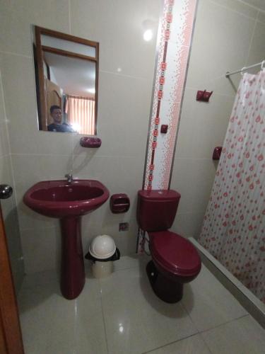 baño con lavabo rojo y aseo en HOSPEDAJE ICA, en Ica