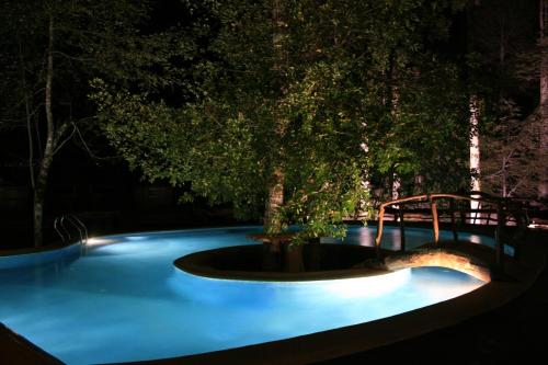 a swimming pool at night with a tree at Huilo Huilo Montaña Mágica in Huilo Huilo